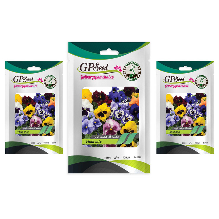 بذر گل بنفشه گل درشت الوان گلبرگ پامچال کد GPF-025 مجموعه 3 عددی