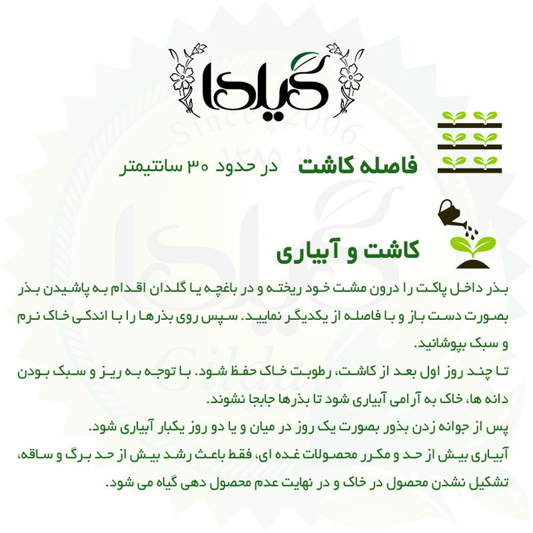 بذر چغندر زرد آشی گیلدا کد 430