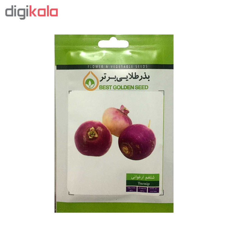 بذر شلغم ارغوانی بذر طلایی برتر کد BZT-58