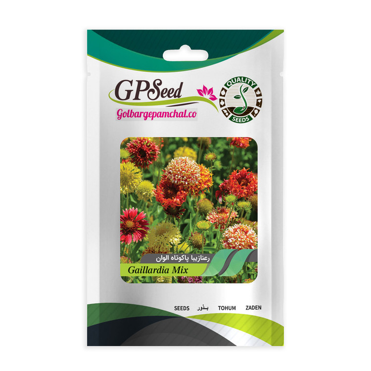 بذر گل رعنا زیبا همه رنگ گلدانی گلبرگ پامچال کد G-P-GP-06 مجموعه 6 عددی
