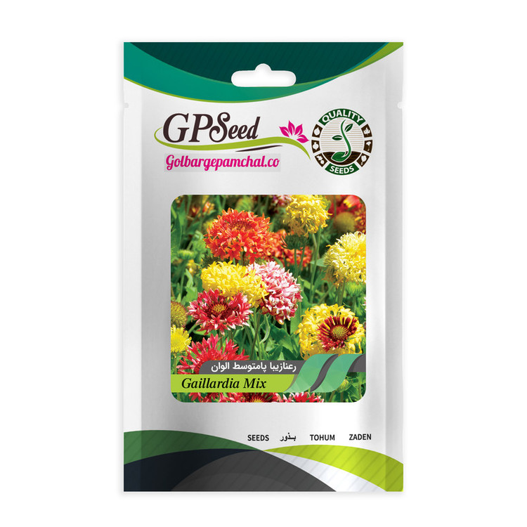 بذر گل رعنا زیبا همه رنگ گلدانی گلبرگ پامچال کد G-P-GP-06 مجموعه 6 عددی