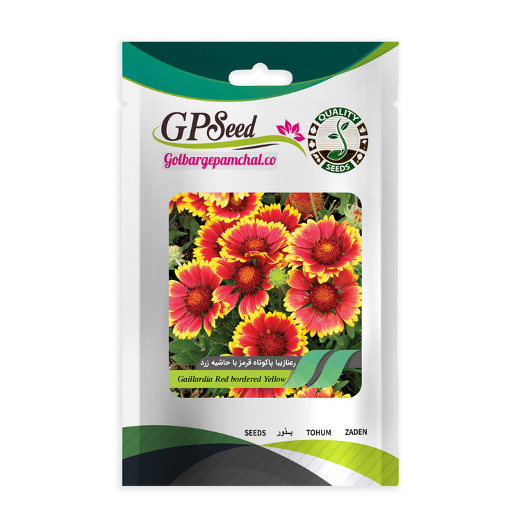 بذر گل رعنا زیبا همه رنگ گلدانی گلبرگ پامچال کد G-P-GP-06 مجموعه 6 عددی