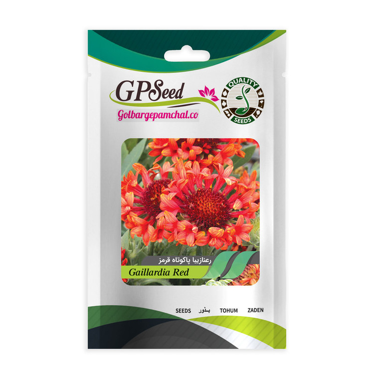 بذر گل رعنا زیبا همه رنگ گلدانی گلبرگ پامچال کد G-P-GP-06 مجموعه 6 عددی