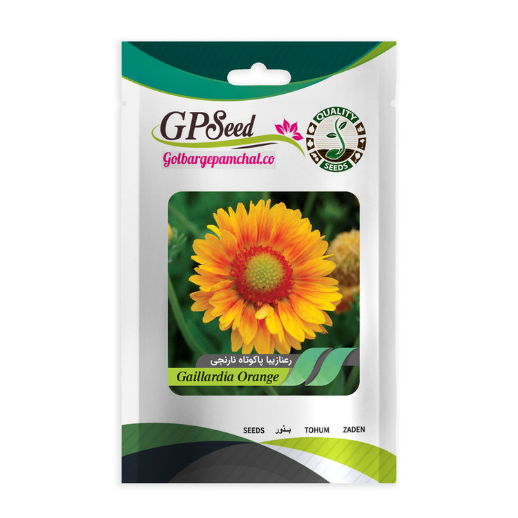 بذر گل رعنا زیبا همه رنگ گلدانی گلبرگ پامچال کد G-P-GP-06 مجموعه 6 عددی