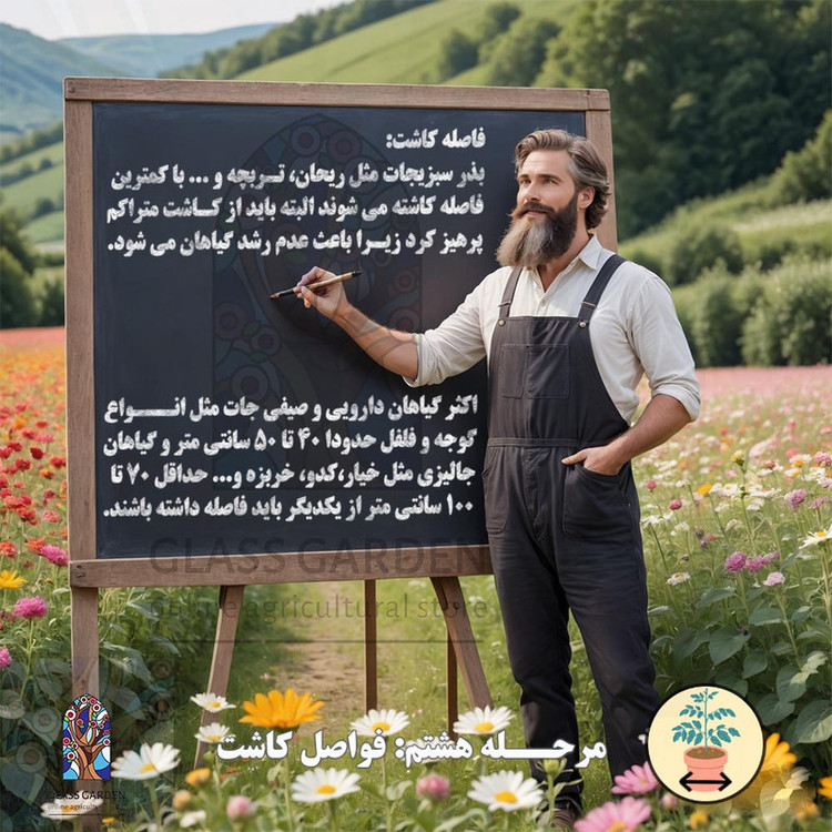 بذر فلفل قلمی قرمز تند ایرانی گلس گاردن مدل GL100