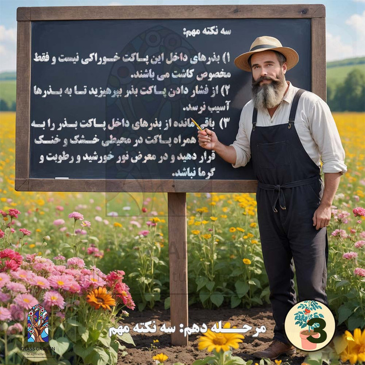 بذر کلم قمری سبز کلم سنگی گلس گاردن مدل GL50