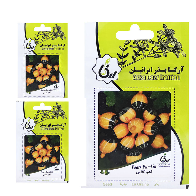 بذر کدو گلابی آرکا بذر ایرانیان کد 019 a مجموعه 3 عددی