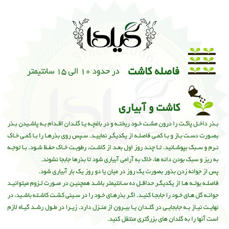 بذر بنفشه قرمز خالدار گیلدا کد 848