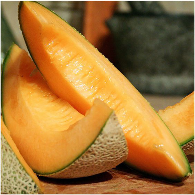 بذر طالبی سمسوری وانیا سید مدل Q29