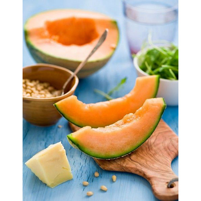 بذر طالبی سمسوری وانیا سید مدل Q29