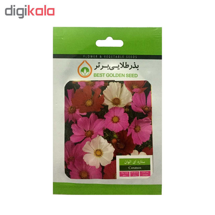 بذر گل ستاره ای الوان بذر طلایی برتر کد BZT-19