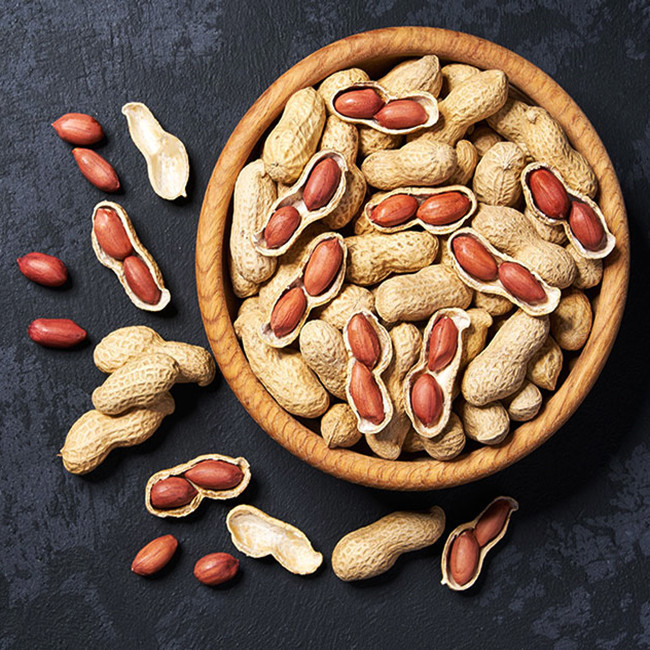 بذر بادام زمینی سانیا سید مدل ss5