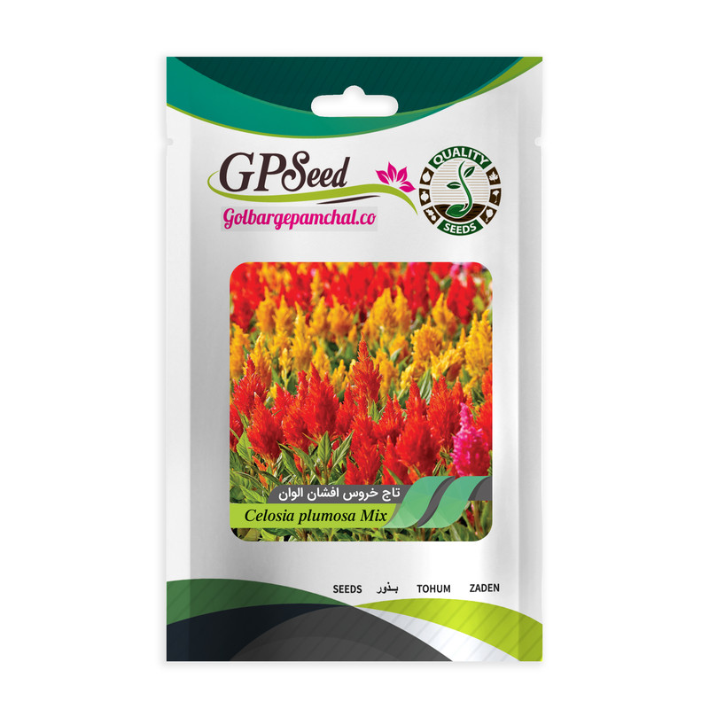 بذر گل تاج خروس همه رنگ گلدانی گلبرگ پامچال کد G-P-GP-06 مجموعه 6 عددی