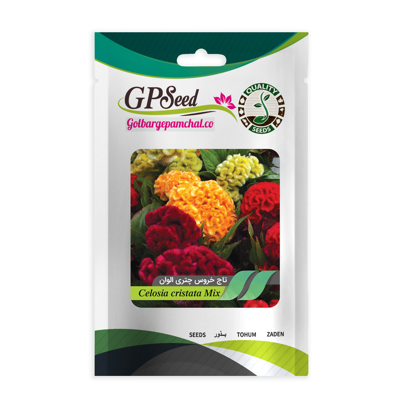 بذر گل تاج خروس همه رنگ گلدانی گلبرگ پامچال کد G-P-GP-06 مجموعه 6 عددی