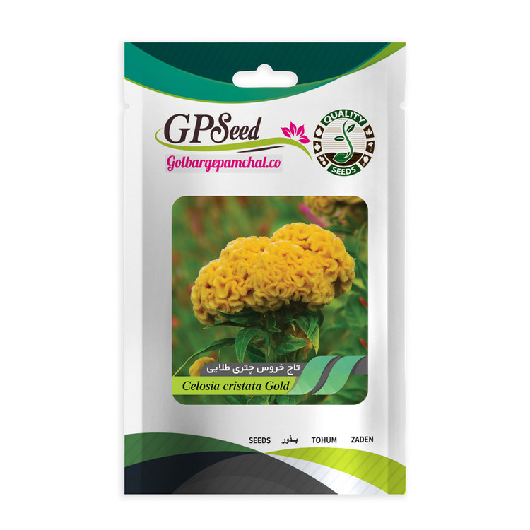 بذر گل تاج خروس همه رنگ گلدانی گلبرگ پامچال کد G-P-GP-06 مجموعه 6 عددی