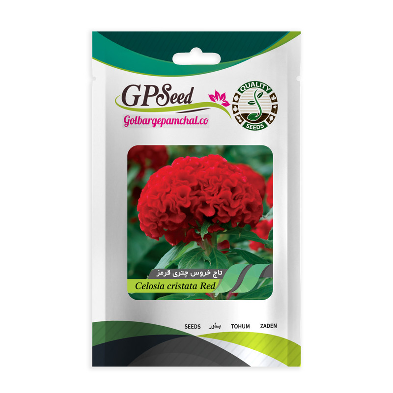 بذر گل تاج خروس همه رنگ گلدانی گلبرگ پامچال کد G-P-GP-06 مجموعه 6 عددی