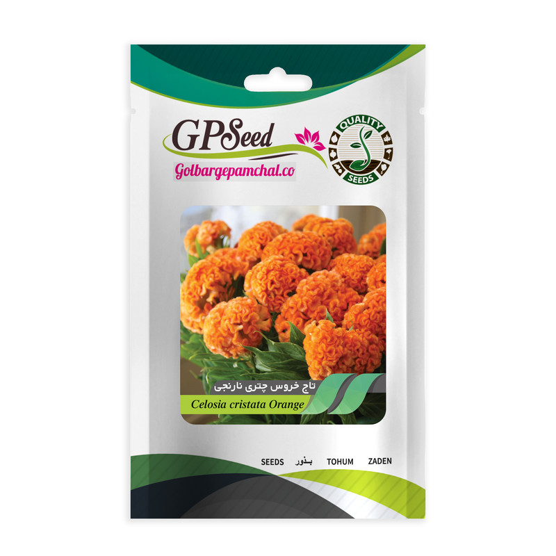 بذر گل تاج خروس همه رنگ گلدانی گلبرگ پامچال کد G-P-GP-06 مجموعه 6 عددی