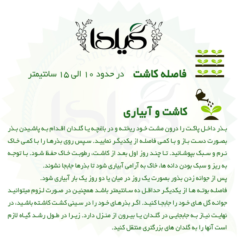 بذر بنفشه الوان گیلدا کد 843