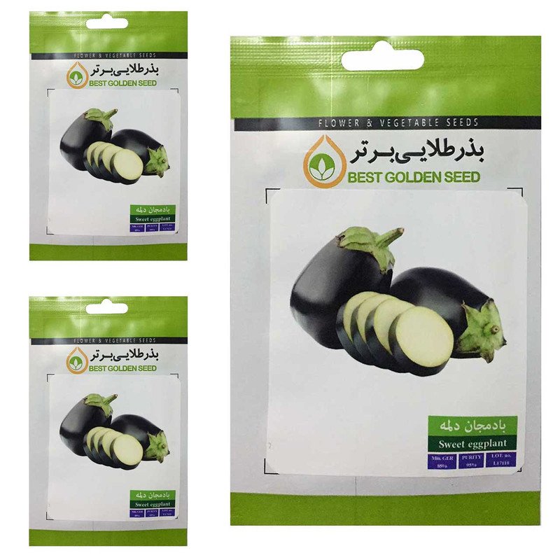 بذر بادمجان دلمه بذر طلایی برتر کد BTB-46 مجموعه 3 عددی