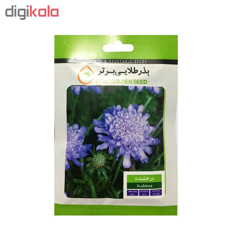 بذر گل درخشنده بذر طلایی برتر کد BZT-40