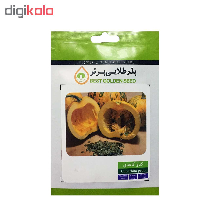 بذر کدو بذر طلایی برتر کد P-K-BZT-02 مجموعه 4 عددی