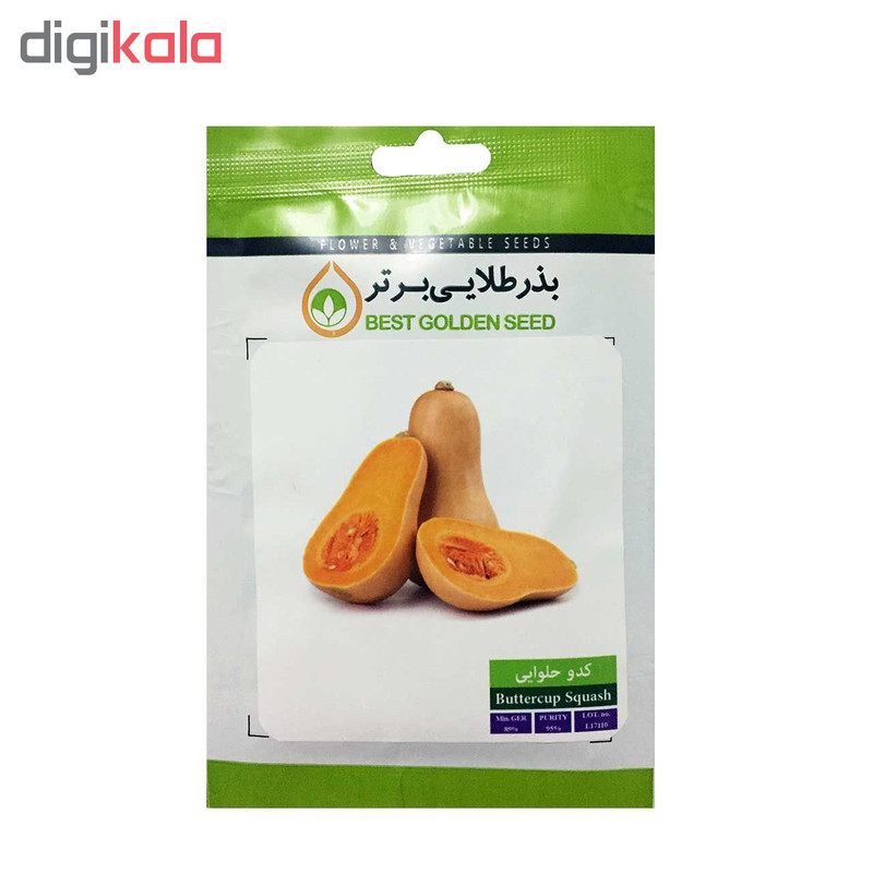 بذر کدو بذر طلایی برتر کد P-K-BZT-02 مجموعه 4 عددی
