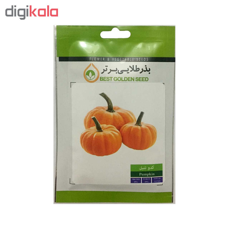 بذر کدو بذر طلایی برتر کد P-K-BZT-02 مجموعه 4 عددی