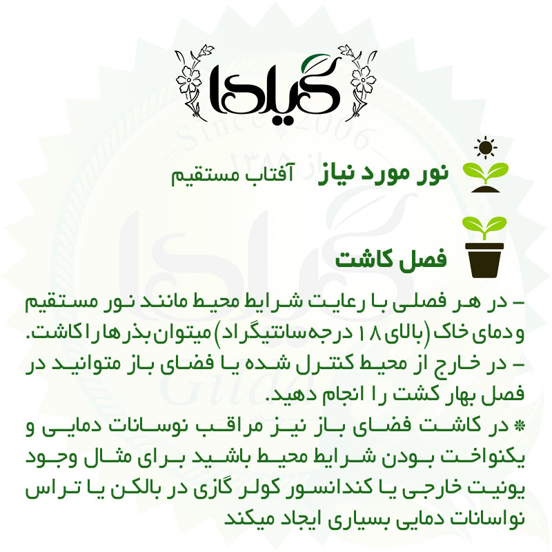 بذر ترپ قرمز کشیده گیلدا کد 216