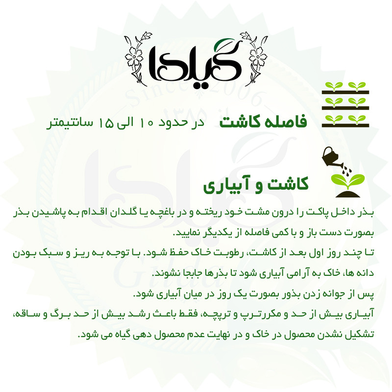 بذر ترپ قرمز کشیده گیلدا کد 216