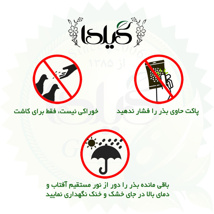 بذر ترپ قرمز کشیده گیلدا کد 216