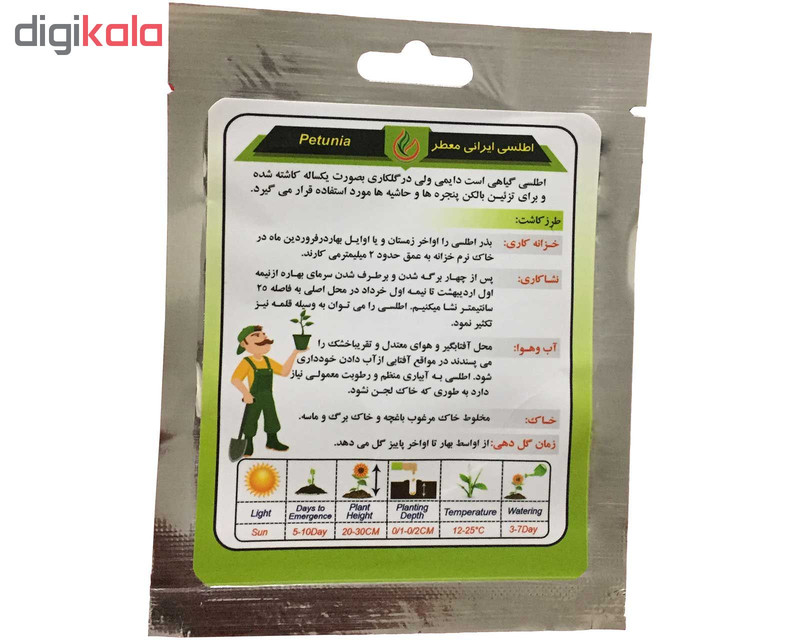 بذر گل اطلسی الوان گلبرگ پامچال کد GP24