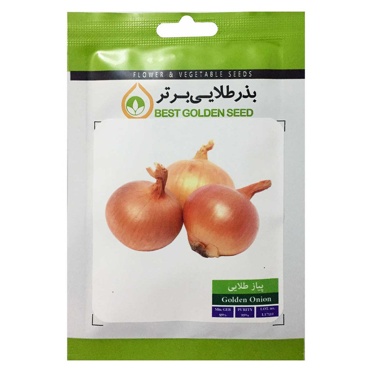 بذر پیاز طلایی بذر طلایی برتر کد BZT-49
