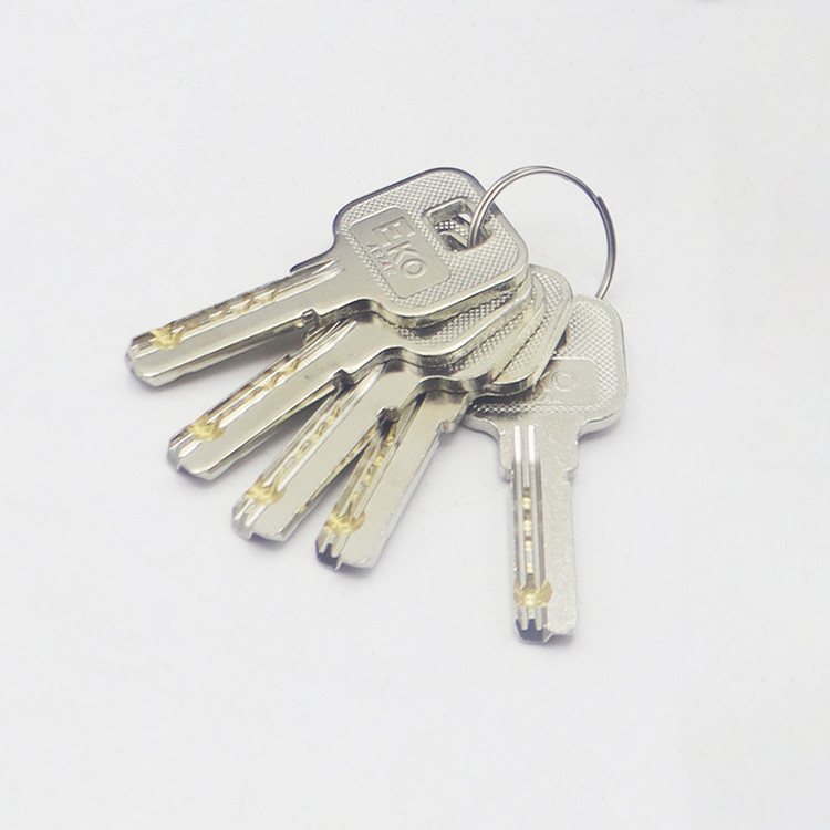 قفل برقی در حیاطی اکو مدل آلفا کد YP-EERL-1/12DC