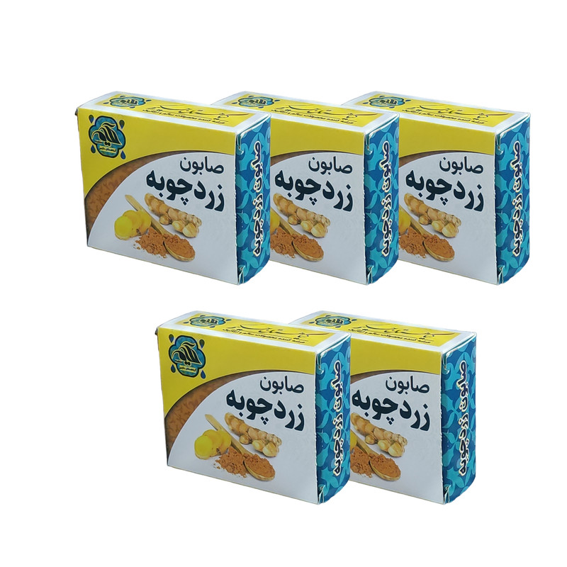 صابون شستشو گیاهستان حکیم مدل زردچوبه  وزن 70 گرم بسته پنج عددی
