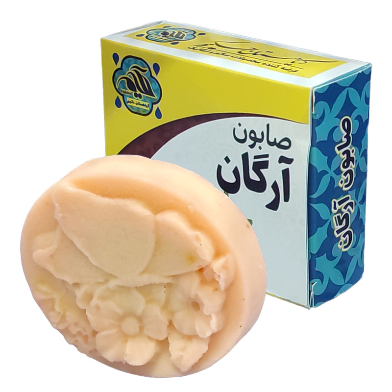صابون شستشو گیاهستان حکیم مدل آرگان  وزن 70 گرم بسته 10 عددی