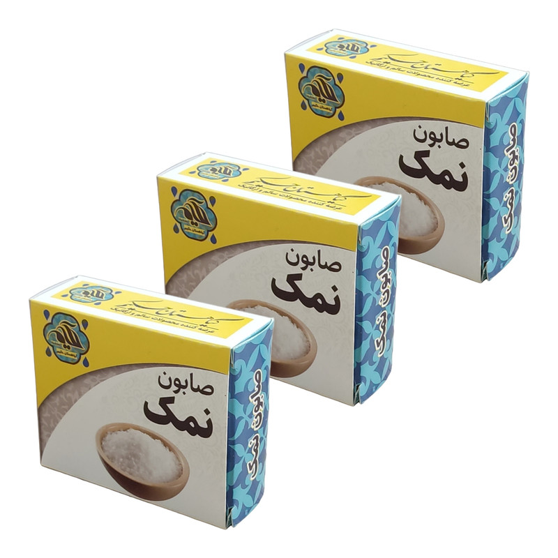 صابون شستشو گیاهستان حکیم مدل نمک وزن 70 گرم بسته 3 عددی