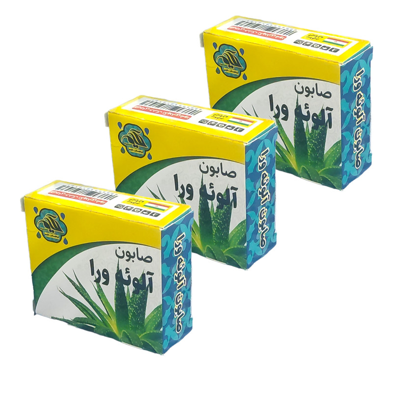 صابون شستشو گیاهستان حکیم مدل آلوئه ورا  وزن 70 گرم بسته سه عددی