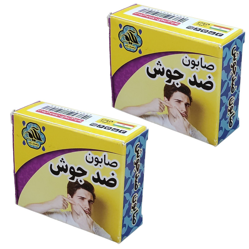 صابون شستشو گیاهستان حکیم مدل ضد جوش  وزن 70 گرم بسته 2 عددی