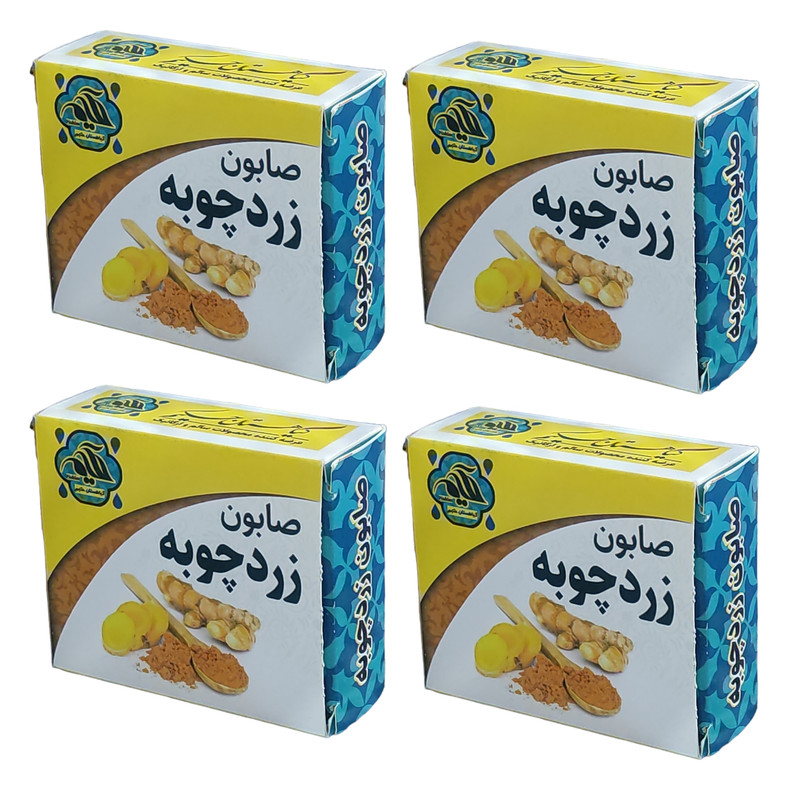 صابون شستشو گیاهستان حکیم مدل زردچوبه  وزن 70 گرم بسته چهار عددی