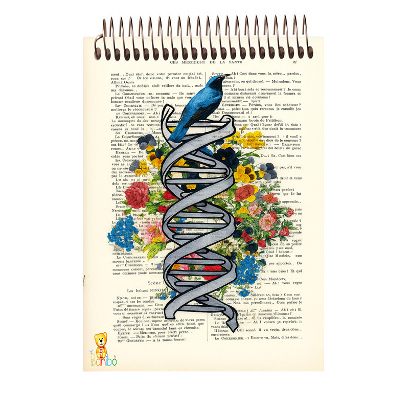 دفتر شطرنجی 100 برگ بانیبو مدل DNA کد 2731