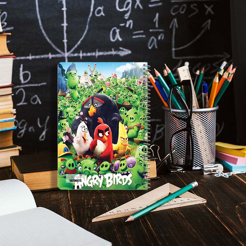 دفتر نقاشی 50 برگ کارنیکا طرح The Angry Birds کد 33250 مجموعه 4 عددی