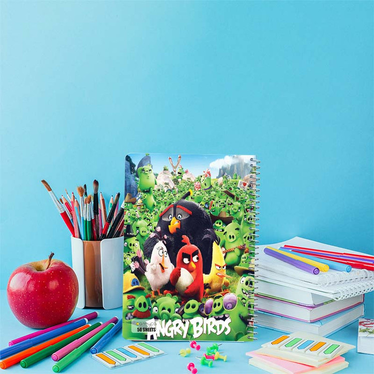 دفتر نقاشی 50 برگ کارنیکا طرح The Angry Birds کد 33250 مجموعه 4 عددی