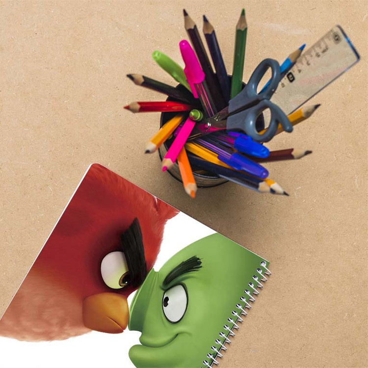 دفتر نقاشی 50 برگ کارنیکا طرح The Angry Birds کد 33250 مجموعه 4 عددی