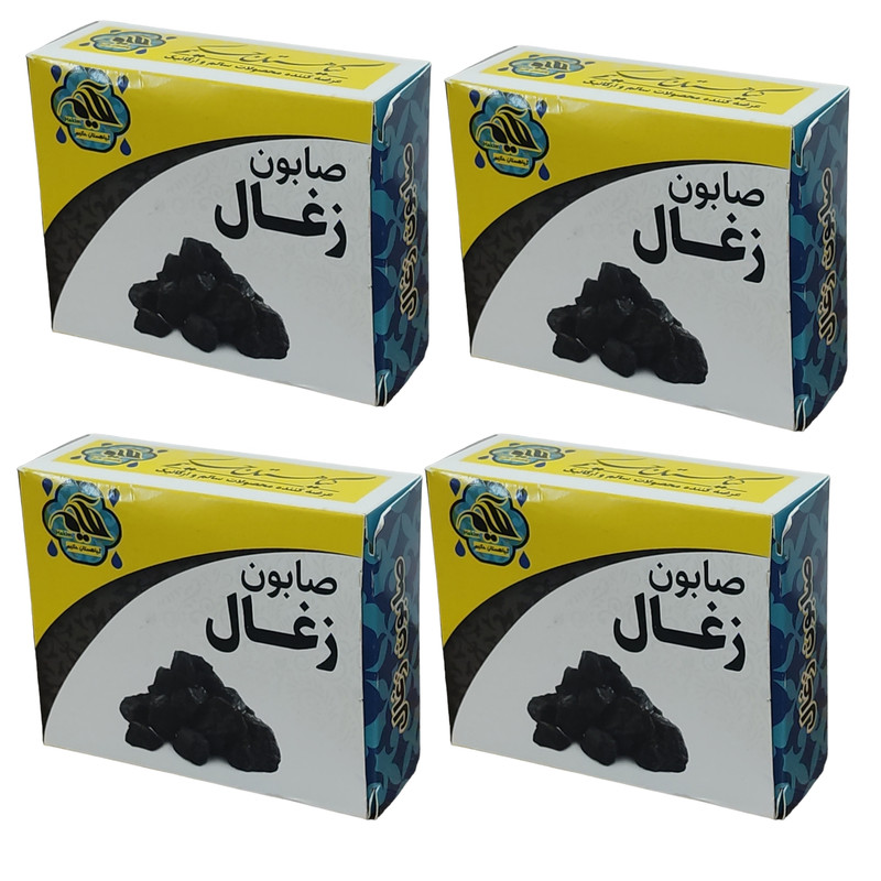 صابون شستشو گیاهستان حکیم مدل زغال وزن 70 گرم بسته 4 عددی