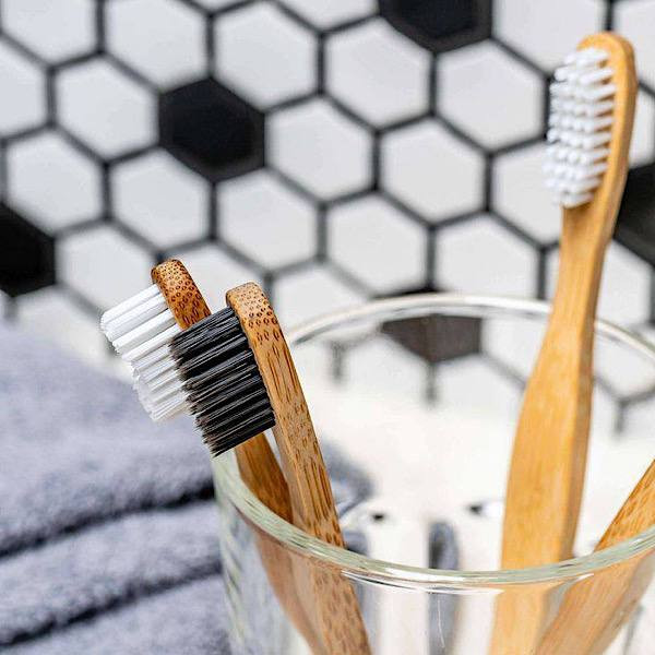 مسواک مستر پاندا مدل بامبو با برس متوسط