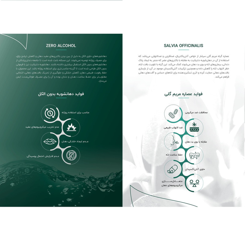 دهان شویه دنتیلایت مدل Postbiotic حجم 500 میلیلیتر