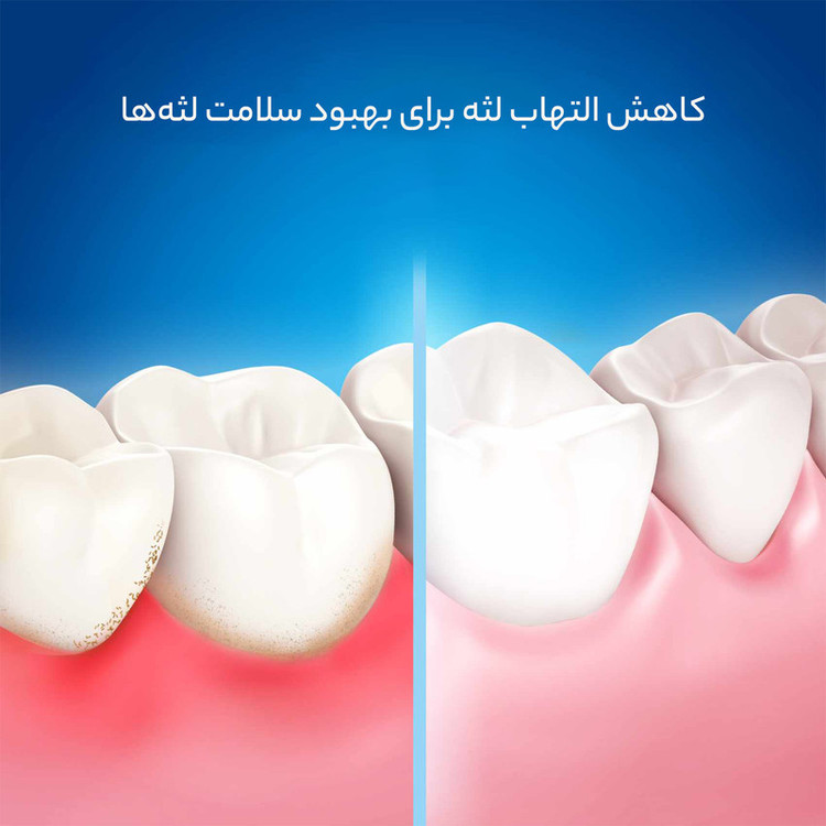 مسواک اورال-بی مدل ProFlex با برس نرم بسته 2 عددی