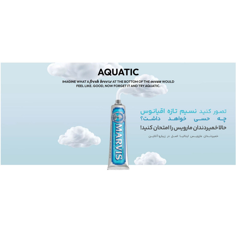 خمیر دندان کاهش دهنده جرم مارویس مدل AQUATIC MINT با طعم نعنای دریایی حجم 25 میلی لیتر