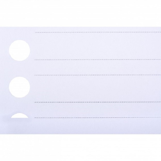 کاغذ کلاسوری پاپکو مدل دو خط کد NB-606-SHE بسته 200 عددی