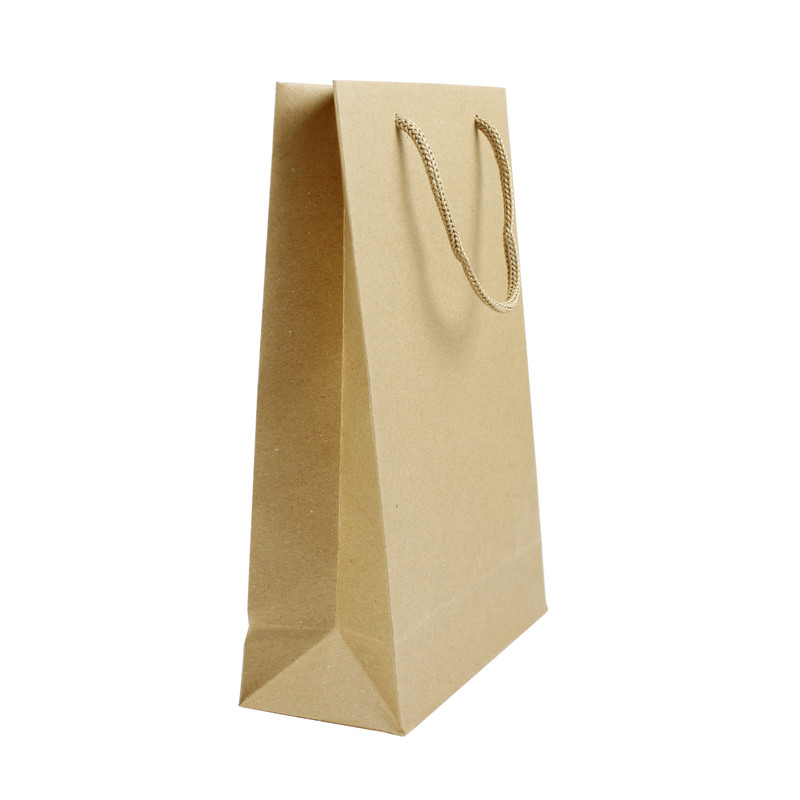 ساک هدیه مدل کرافت طرح ساده کد K1024 بسته 3 عددی